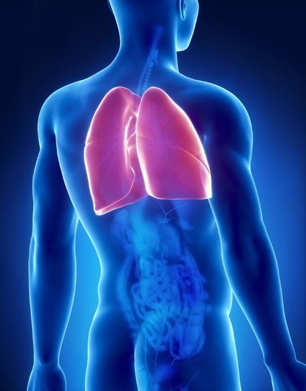 Hipertensão pulmonar