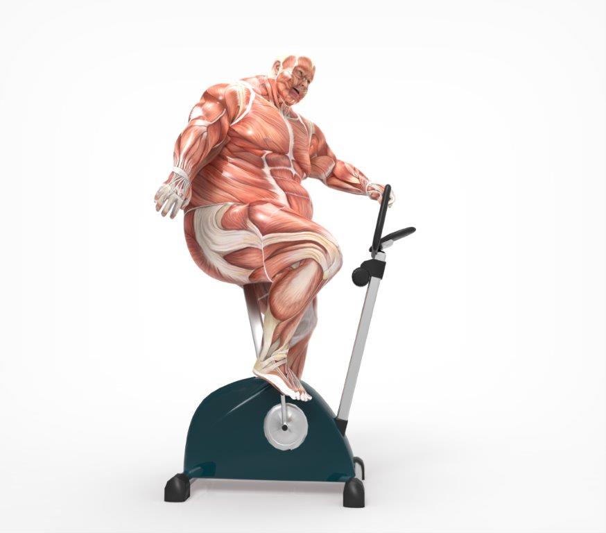 Treino Para Obesos Iniciantes Na Academia Somente um em cada 10 obesos tem consciência do seu peso | Atlas da Saúde
