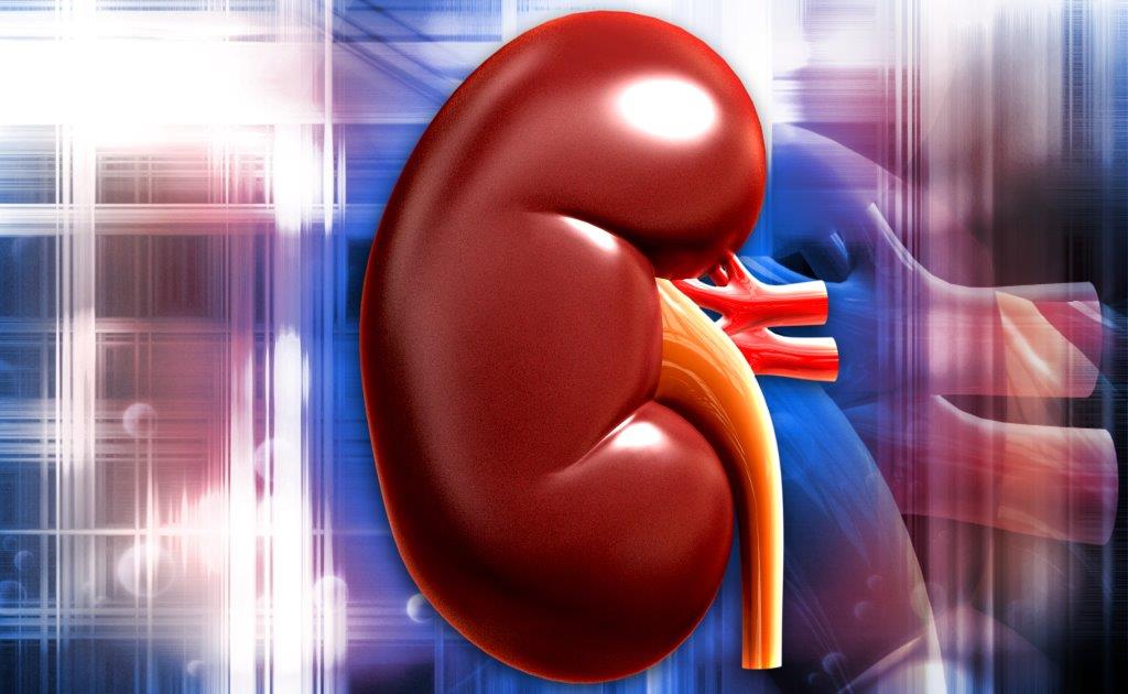 Planta rara tem “grande potencial” para inibir células do cancro do rim ...