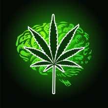 Cannabis cérebro