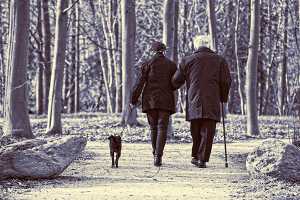 Casal de idosos a passear cão no parque