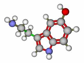 Serotonina