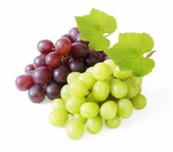 Uvas