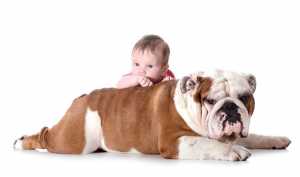 Criança e cão para ilustrar as zoonoses