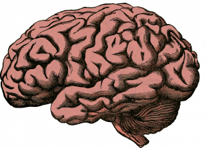 António Damásio, o neurocientista das emoções