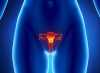 Aparelho genital feminino