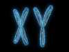 Cromossoma Y